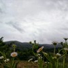 วิวภูเขา​ 