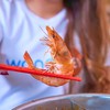 Shabu Shabu by Phuketboi
