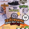 โปรโมชั่น 1แถม1 เฉาก๊วยนมสด เต็งหนึ่ง โปรโมชั่น 1แถม1 เฉาก๊วยนมสด เต็งหนึ่ง