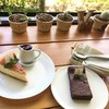 Villa De View Café