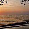 คอนโดให้เช่าติดทะเล ทางลงหาดส่วนตัว 