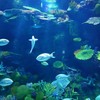 Sea Life Bangkok Ocean World