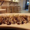 KIKU GYOZA ถนน จันทน์ 18/8