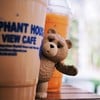 Elephant House Lake view Cafe