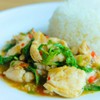 ข้าวราดผัดกะเพราไก่ ข้าวราดผัดกะเพราไก่