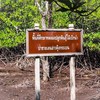 ศูนย์ศึกษาการพัฒนาอ่าวคุ้งกระเบน (ป่าชายเลน)