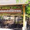ศูนย์ศึกษาการพัฒนาอ่าวคุ้งกระเบน (ป่าชายเลน)