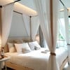 Canopy Room