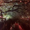 Meguro River