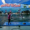 Oasis Sea World