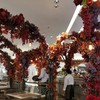 Divana Signature Cafe centralwOrld