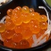 ไข่ปลาแซลมอนรสชาติดีครับ