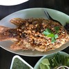 ปลาทับทิมทอดกระเทียม ตัวใหญ่ กระเทียมเจียวหอมอร่อย