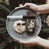 Cake brownies Cake brownies