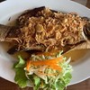 ปลากะพงขาวทอดน้ำปลา ปลากะพงขาวทอดน้ำปลา