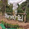 ตลาดป่าไผ่สร้างสุข (สวนไผ่ขวัญใจ)
