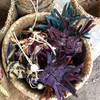 ตลาดป่าไผ่สร้างสุข (สวนไผ่ขวัญใจ)
