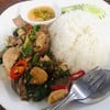 กระเพราหมูทุกอย่าง