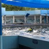 Oasis Sea World