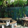 บรรยากาศร้านร่มรื่นมากๆ