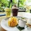 Rainforest Cafe Kanchanaburi