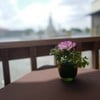 The Deck by the river โรงแรมอรุณเรสซิเด้นท์