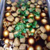 ไข่พะโล้ ไข่พะโล้