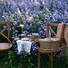 I love flower Farm