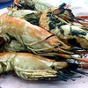 อี๊ด กุ้งเผาคลองมอญ