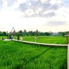 บรรยากาศร้าน