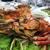 เรือนร่มไทร