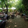 Fern Forest Cafe