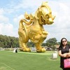 ไร่บุญรอด(สิงห์ปาร์ค เชียงราย)