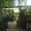 บ้านก้ามปู Bankampu Tropical Cafe