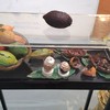 Cocao Theory 