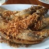 ครัวม่อนไข่