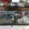 ขนมในถาดคลุกน้ำมันกันติด