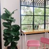 NATEE Cafe & Restaurant
