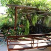 กาแฟบ้านร้อยปี