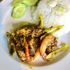 เครื่องแกงกุ้ง ไก่ราดข้าว