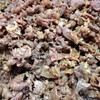 หมูหวาน หมูหวาน