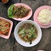 โคขุนคุณทอง โพนยางคำ นวลจันทร์ 21