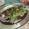 ปลาเก๋านึ่งซีอิ๊ว