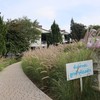 The Blue Sky Resort เขาค้อ