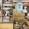 722 Seven Twenty Two Organic Milk Tea centralwOrld