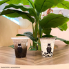 722 Seven Twenty Two Organic Milk Tea centralwOrld