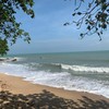 Blue Surf Cafe