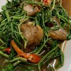 เจ๊ดาปลาลวก