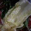 ฟรี