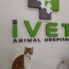 ขอขอบคุณรูปภาพจาก FB โรงพยาบาลสัตว์ไอเว็ท - iVET hospital